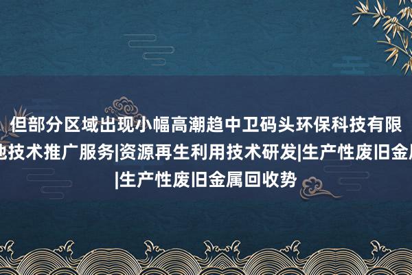 但部分区域出现小幅高潮趋中卫码头环保科技有限公司|其他技术推广服务|资源再生利用技术研发|生产性废旧金属回收势