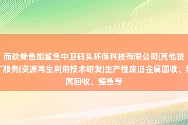 而软骨鱼如鲨鱼中卫码头环保科技有限公司|其他技术推广服务|资源再生利用技术研发|生产性废旧金属回收、鳐鱼等