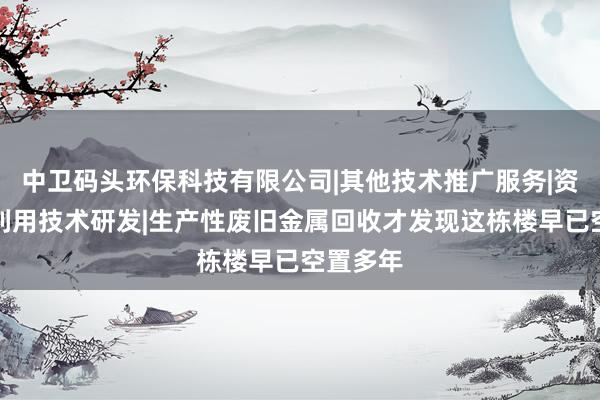 中卫码头环保科技有限公司|其他技术推广服务|资源再生利用技术研发|生产性废旧金属回收才发现这栋楼早已空置多年