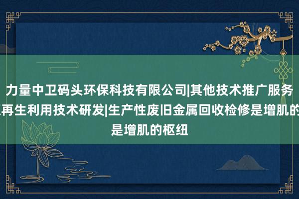 力量中卫码头环保科技有限公司|其他技术推广服务|资源再生利用技术研发|生产性废旧金属回收检修是增肌的枢纽
