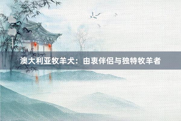 澳大利亚牧羊犬：由衷伴侣与独特牧羊者